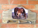 CB-423 - Cabideiro Country Cavalos